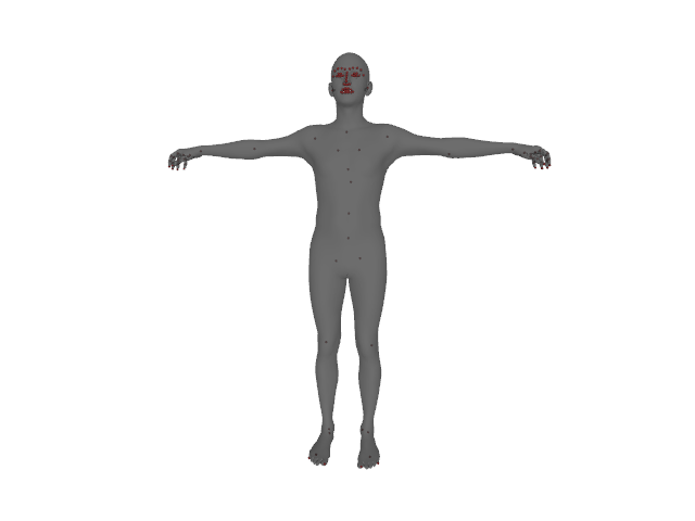 T-pose reference